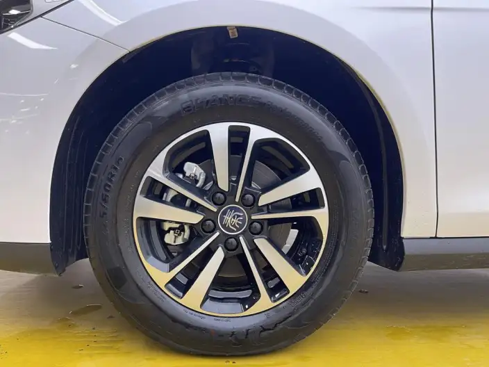 BYD Qin PLUS DM 2026 Model DM-i 210KM Enterprising Model
