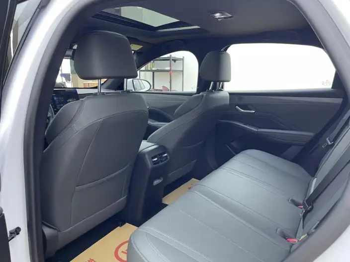 BYD Qin PLUS DM 2026 Model DM-i 210KM Enterprising Model – фото 8