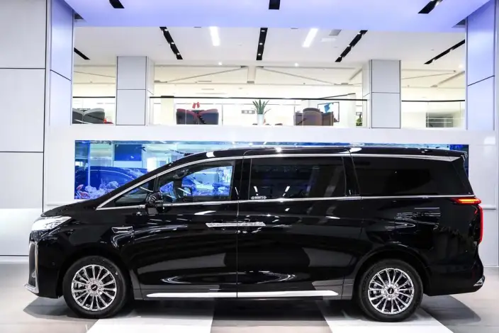 Wey Gaoshan P HEV 2025 Model 4WD Wey Gaoshan 8 – фото 3