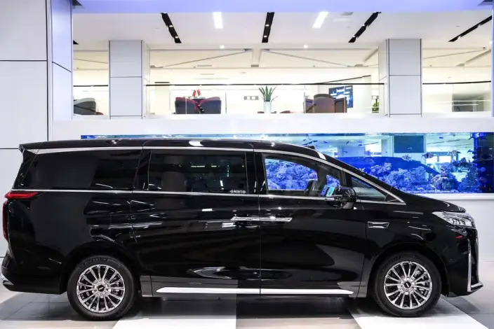 Wey Gaoshan P HEV 2025 Model 4WD Wey Gaoshan 8 – фото 6