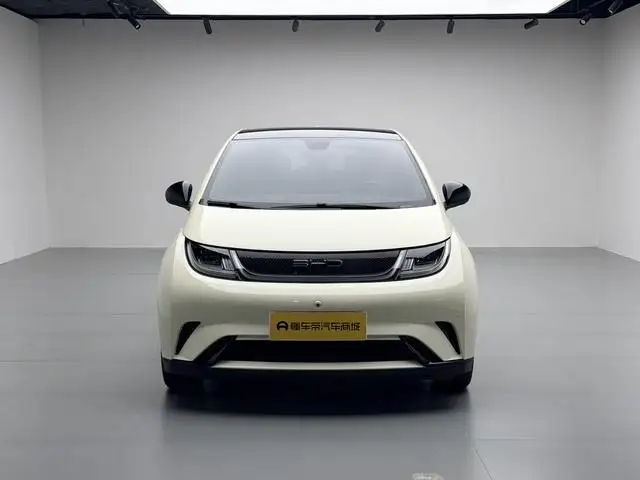 BYD Dolphin 2023 Model Fashion Edition