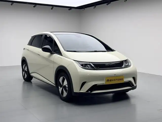BYD Dolphin 2023 Model Fashion Edition