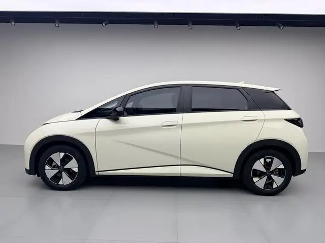 BYD Dolphin 2023 Model Fashion Edition