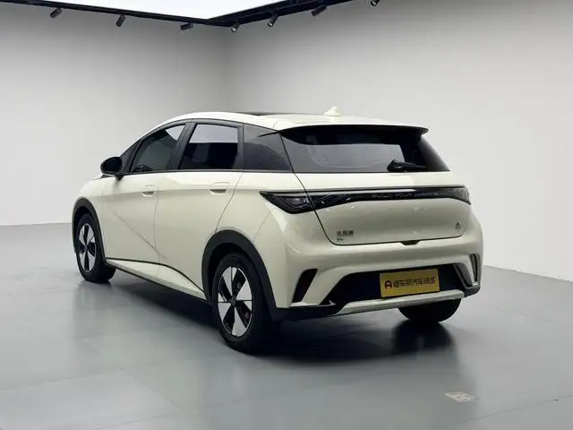 BYD Dolphin 2023 Model Fashion Edition – фото 5
