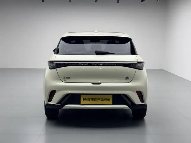 BYD Dolphin 2023 Model Fashion Edition – фото 6