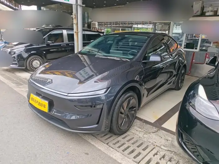Model Y 2025 Model Rear-wheel drive version