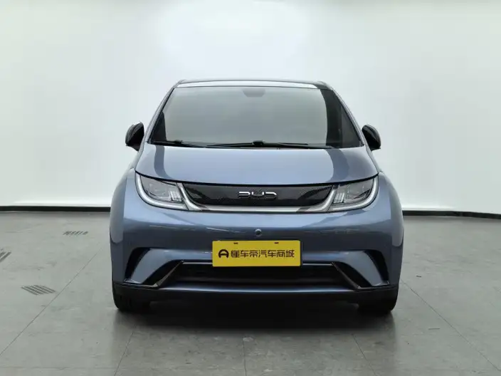 BYD Dolphin 2024 Model Honor Edition 420km Fashion Edition