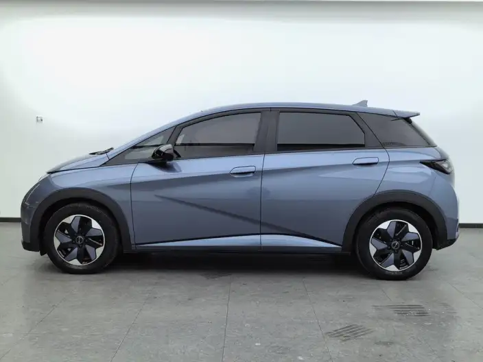 BYD Dolphin 2024 Model Honor Edition 420km Fashion Edition