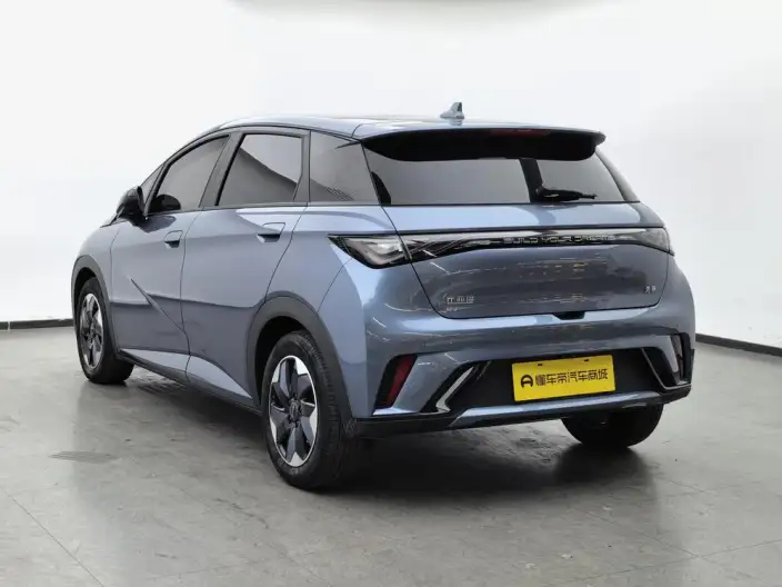 BYD Dolphin 2024 Model Honor Edition 420km Fashion Edition – фото 5