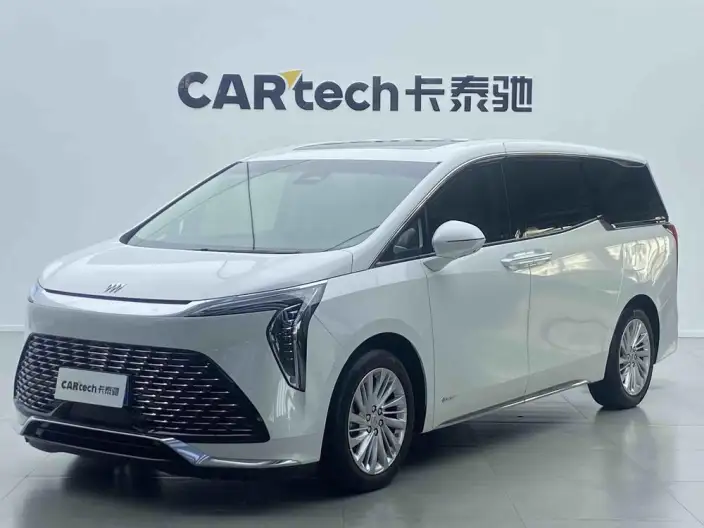 Century 2023 Model 2.0T VI seat Yunshi Edition