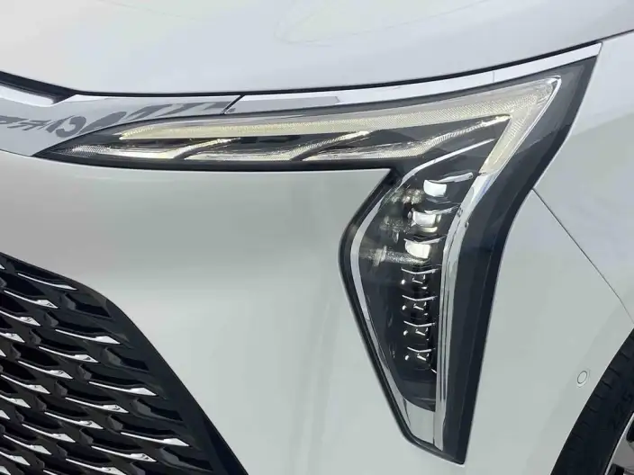 Century 2023 Model 2.0T VI seat Yunshi Edition – фото 8