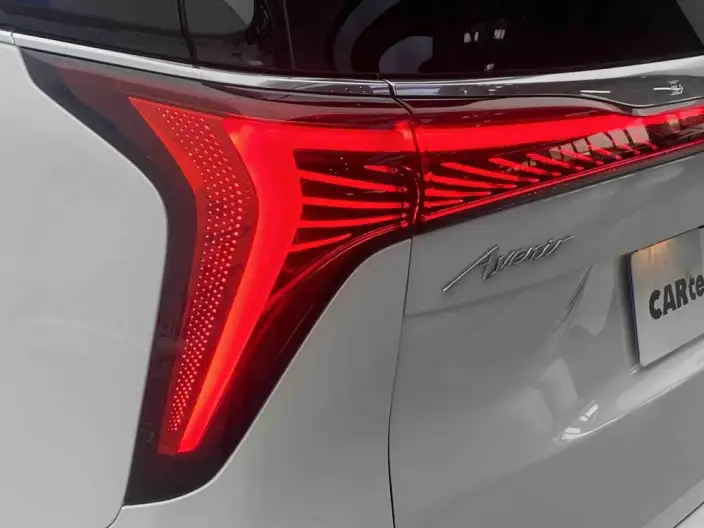 Century 2023 Model 2.0T VI seat Yunshi Edition – фото 9