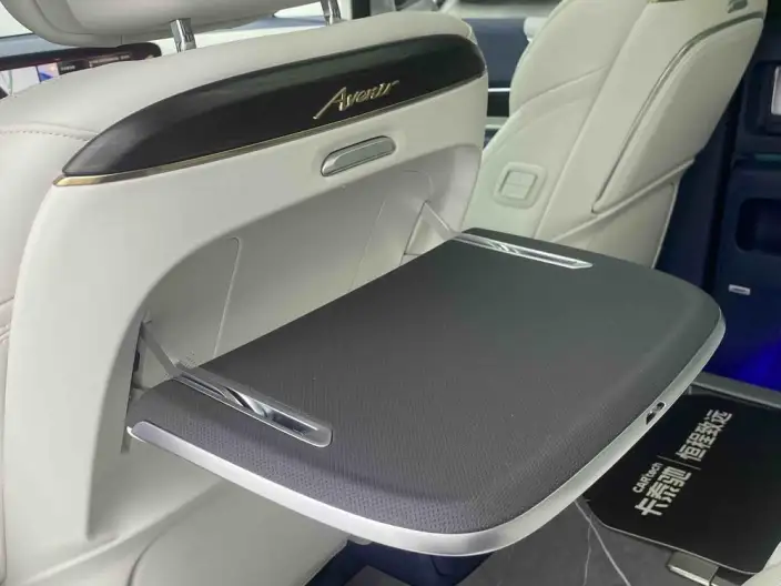 Century 2023 Model 2.0T VI seat Yunshi Edition – фото 10