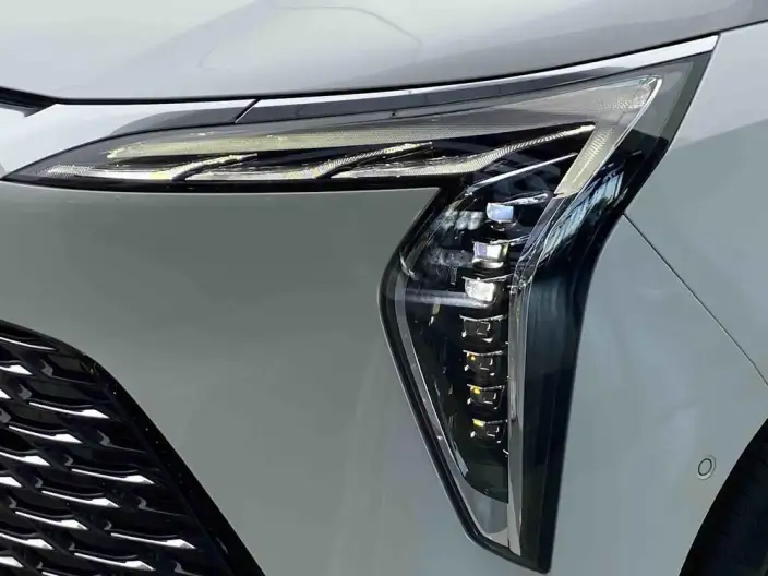 Century 2023 Model 2.0T VI seat Yunshi Edition – фото 8