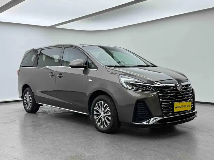Buick GL8 2023 Model Business class 2.0T Comfort Model