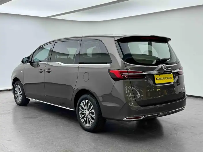 Buick GL8 2023 Model Business class 2.0T Comfort Model – фото 5