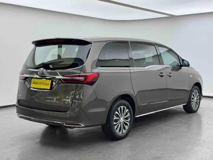 Buick GL8 2023 Model Business class 2.0T Comfort Model – фото 7