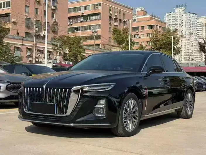 Hongqi H5 2023 Model 2.0T Automatic Flag Enjoy Edition – фото 1
