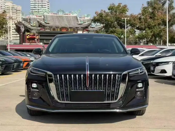 Hongqi H5 2023 Model 2.0T Automatic Flag Enjoy Edition – фото 2
