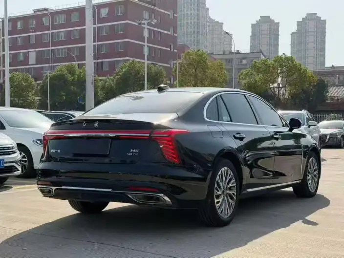 Hongqi H5 2023 Model 2.0T Automatic Flag Enjoy Edition – фото 6