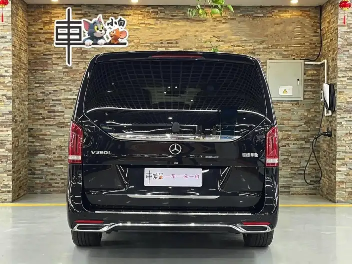 Mercedes-Benz V-Class 2021 Model V 260 L Long wheelbase Deluxe Edition – фото 4