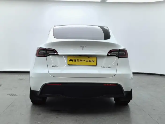 Model Y 2023 Model Long Battery Life Pro All-wheel drive version – фото 6