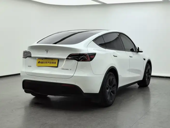 Model Y 2023 Model Long Battery Life Pro All-wheel drive version – фото 7