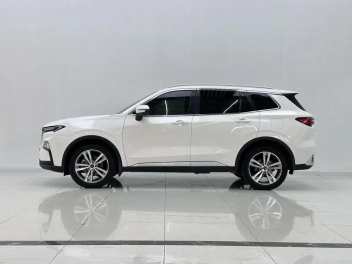 Ford Territory 2022 Model Facelift EcoBoost 170 Zun Ling Model – фото 4