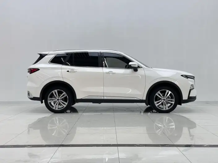 Ford Territory 2022 Model Facelift EcoBoost 170 Zun Ling Model – фото 8