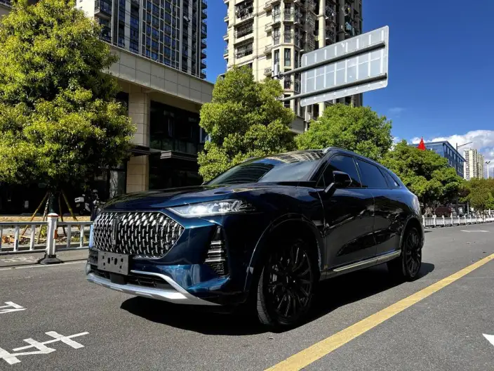 Mocha 2021 Model 2.0T 2WD Strong Edition – фото 1