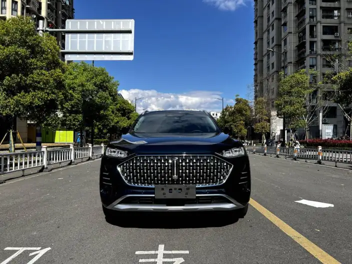 Mocha 2021 Model 2.0T 2WD Strong Edition – фото 2