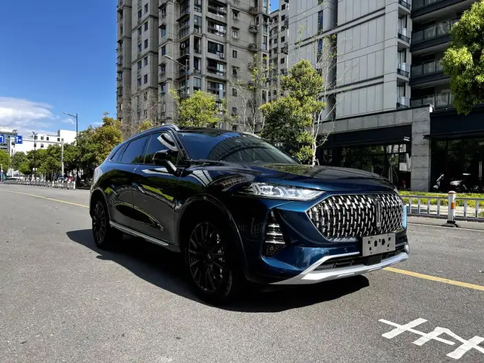 Mocha 2021 Model 2.0T 2WD Strong Edition – фото 3