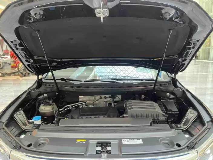 Viloran 2022 Model 380TSI Noble Model – фото 6