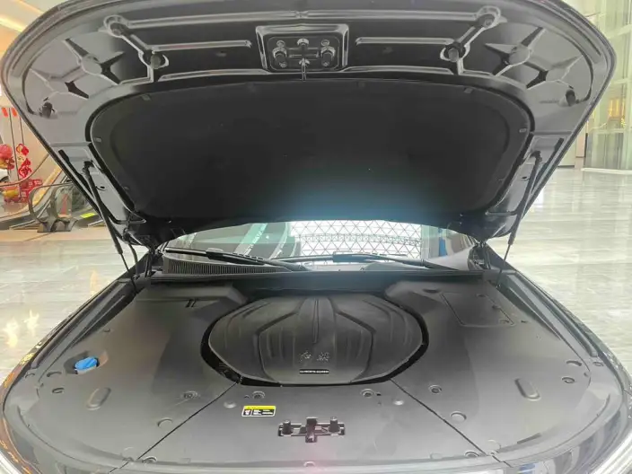 HONGQI H9 2023 Model 2.0T Smart Flag Enjoy Edition – фото 7