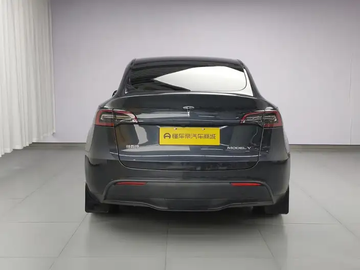 Model Y 2024 Model Rear-wheel drive version – фото 6