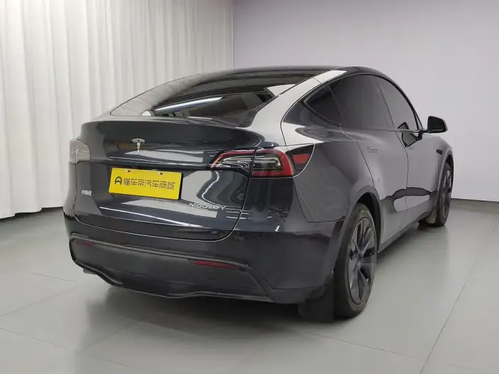 Model Y 2024 Model Rear-wheel drive version – фото 7