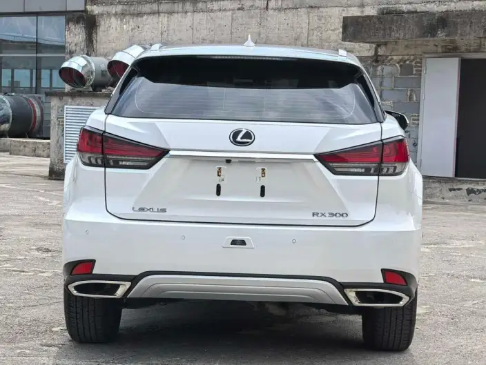 Lexus RX 2020 Model Facelift 300 2WD Elite Edition – фото 5