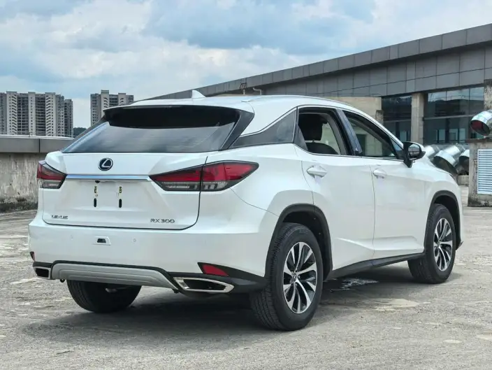 Lexus RX 2020 Model Facelift 300 2WD Elite Edition – фото 6