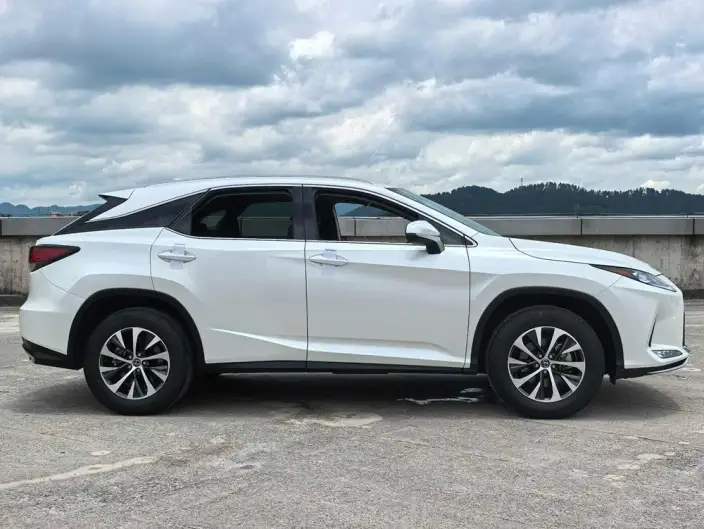 Lexus RX 2020 Model Facelift 300 2WD Elite Edition – фото 7
