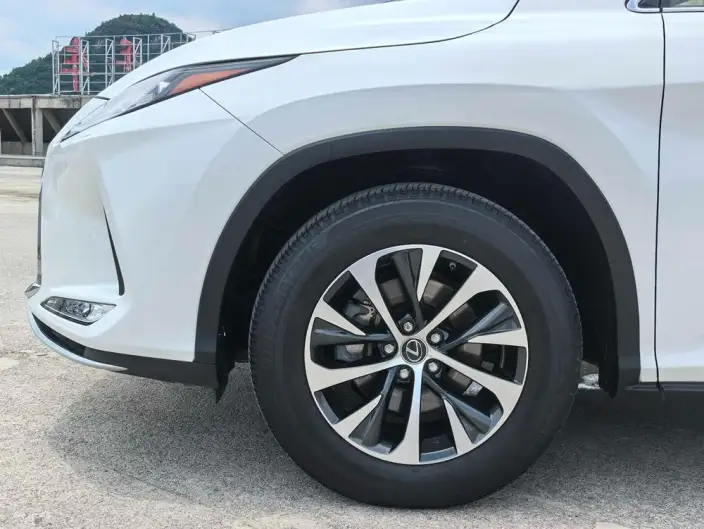 Lexus RX 2020 Model Facelift 300 2WD Elite Edition – фото 10