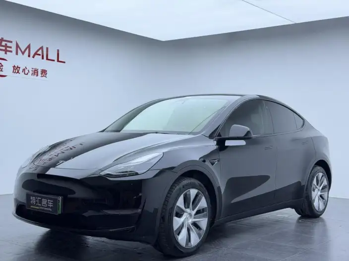 Model Y 2022 Model Long Battery Life Pro All-wheel drive version – фото 1