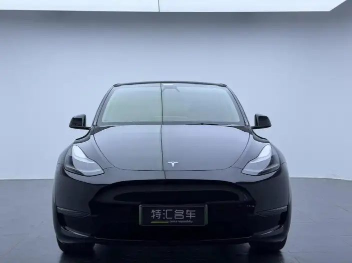Model Y 2022 Model Long Battery Life Pro All-wheel drive version – фото 2