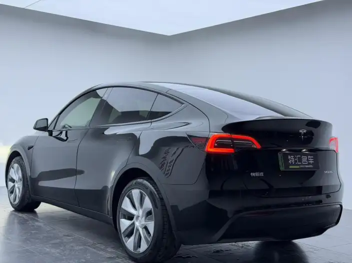 Model Y 2022 Model Long Battery Life Pro All-wheel drive version – фото 4