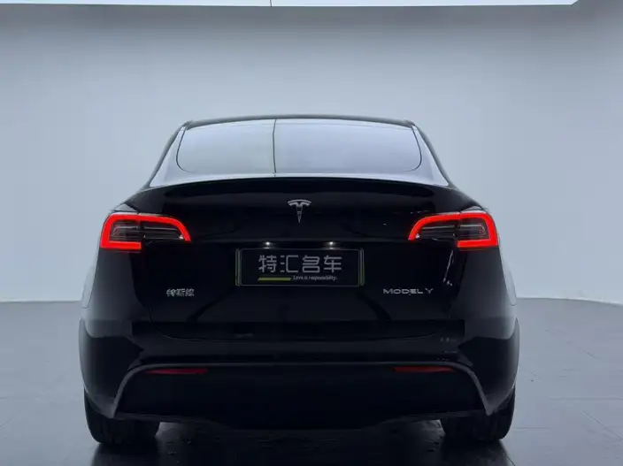 Model Y 2022 Model Long Battery Life Pro All-wheel drive version – фото 5