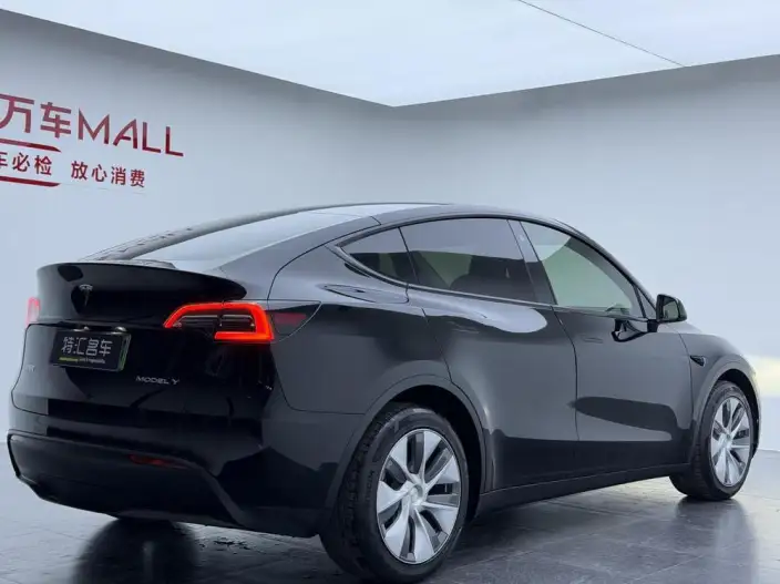 Model Y 2022 Model Long Battery Life Pro All-wheel drive version – фото 6