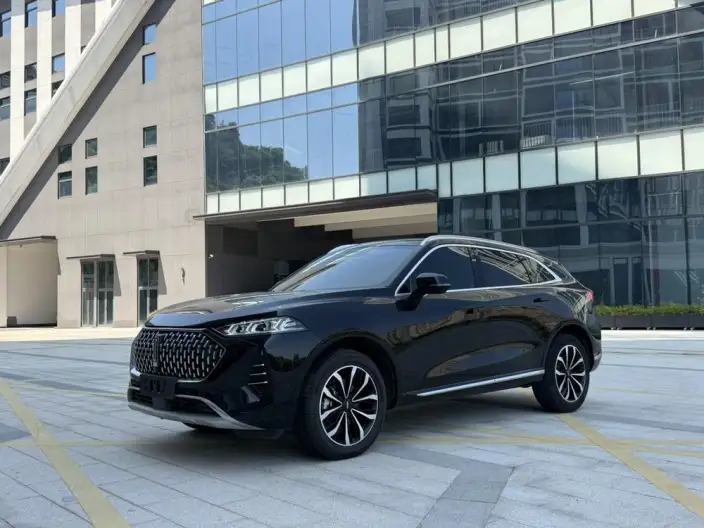 Mocha 2021 Model 2.0T 2WD Strong Edition