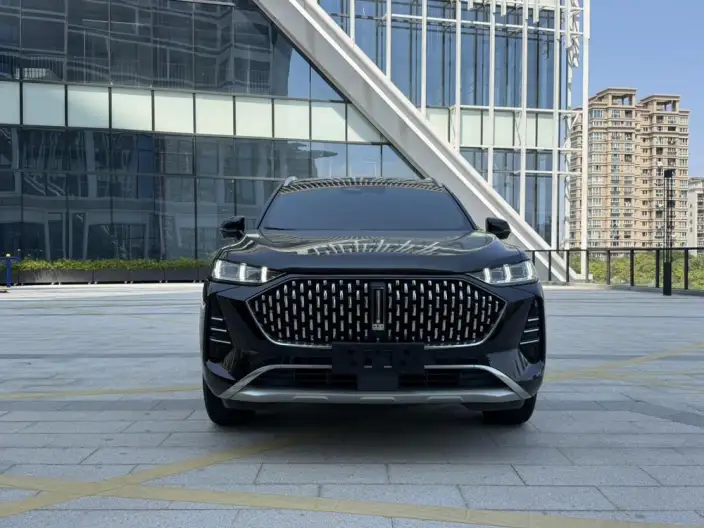 Mocha 2021 Model 2.0T 2WD Strong Edition
