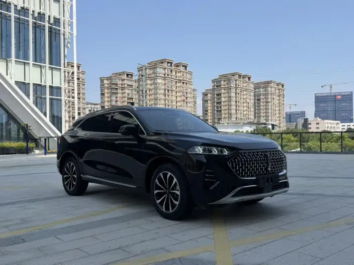 Mocha 2021 Model 2.0T 2WD Strong Edition