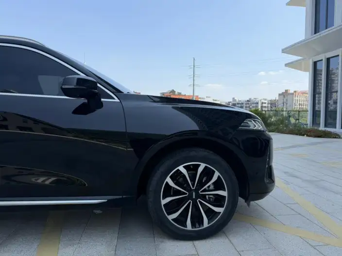 Mocha 2021 Model 2.0T 2WD Strong Edition – фото 7