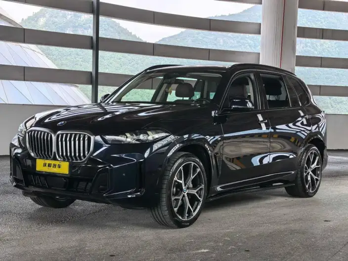 BMW X5 2023 Model xDrive30Li Exclusive Model M Sports Night Set – фото 1